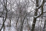 Погода. Фото: Стіна