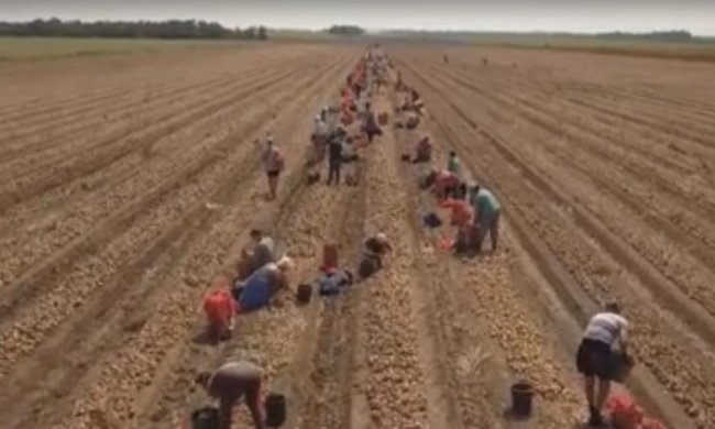 Сколько стоит украинская земля? Фото: скрин ТСН