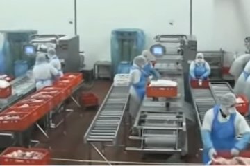 Работа на заводе в Польше. Фото: принскрин видео