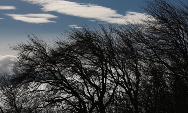 Погода на 26 ноября 2019 года