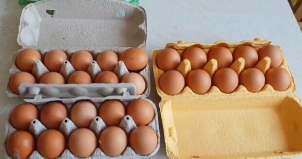 Яйца. Фото: скриншот Youtube-видео