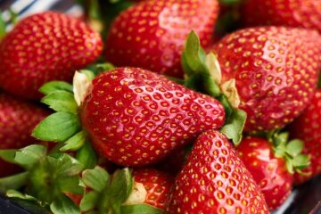 Первая клубника: как выбрать, польза, опасность