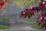харьков . Фото: скриншот YouTube