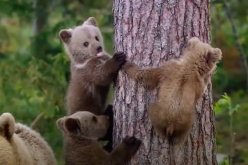 Харьков . Фото: скриншот YouTube