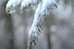 Зима. Фото: скриншот Youtube-видео