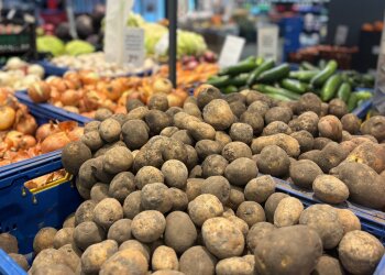 Картопля на українському ринку, травень 2026