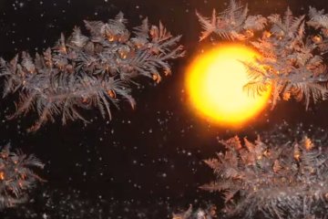 Погода на 29 декабря 2019 года