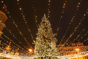 новогодняя елка, иллюстрация