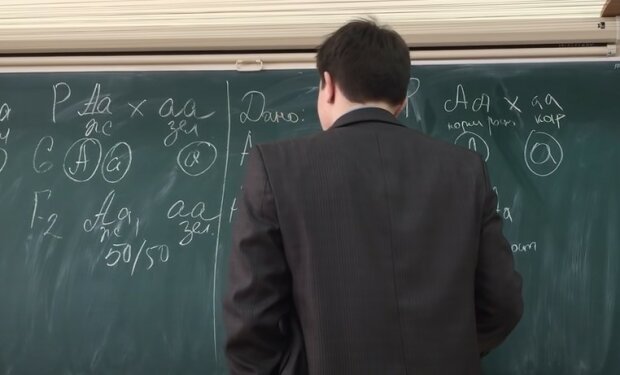 Зарплаты учителей в Украине. Фото: скриншот Youtube
