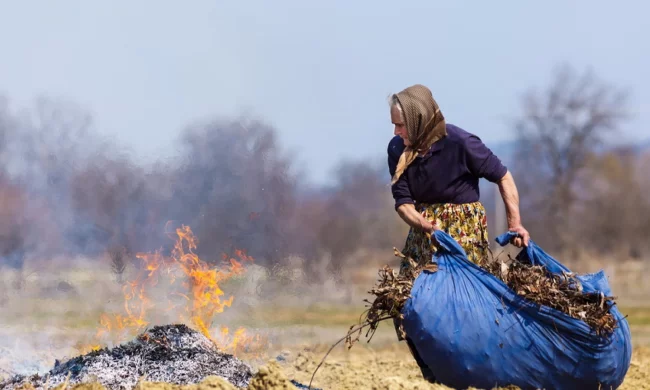 Українців попередили про великі штрафи за спалювання сухого листа та гілля. Фото: скрін YouTube