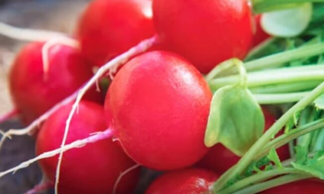 Редис. Фото: скриншот Youtube-відео