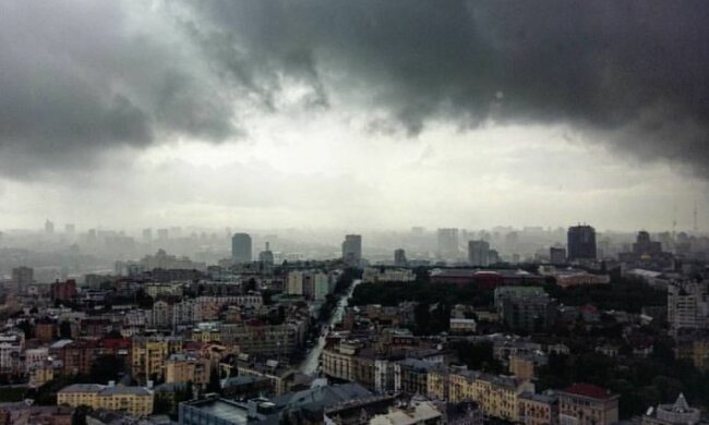 Объезжайте деревья десятой дорогой: на Киев надвигается нечто, коммунальщики наготове