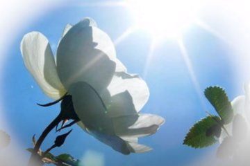 Погода на 29 апреля 2020 года