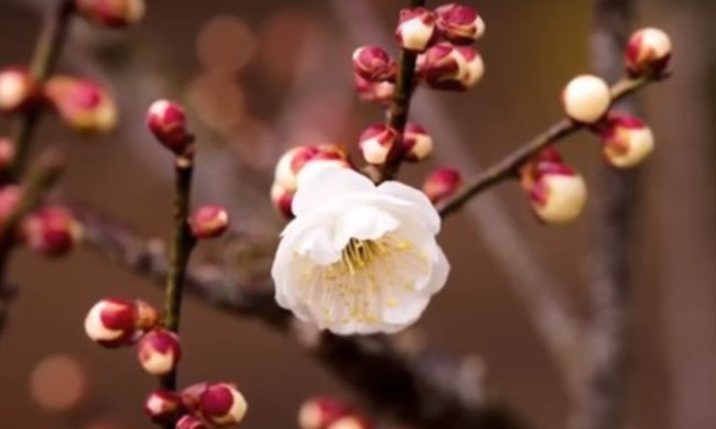 Погода на 8 апреля 2020 года