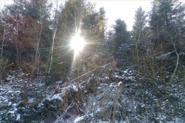 Зимовий ранок. Фото: Ukrainianwall