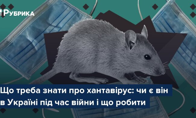 Хантавирус — вирус, переносимый грызунами