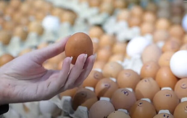 Яйця в супермаркеті. Фото: скріншот YouTube-відео