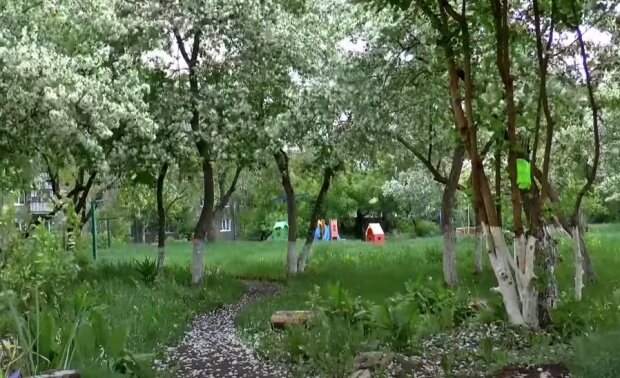 Майский сад. Фото: скриншот Youtube-видео