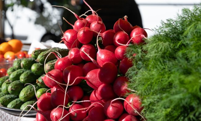 Продуктові ярмарки в столиці. Фото: Telegram