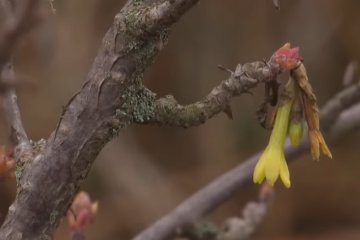 На выходных в Украине будет теплая и сухая погода. Фото: YouTube