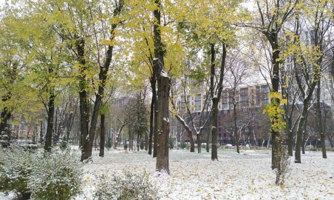 Киев. Снег в парке "Веселка". Фото: Facebook, Tanya Tymoshenko