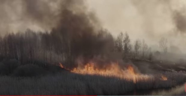 Пожар в Чернобыле. Фото: скриншот YouTube.