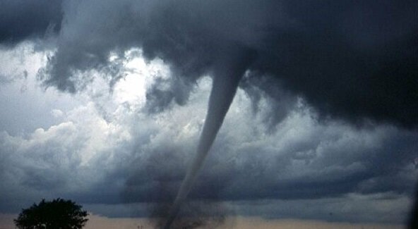 Смреч. Фото: скриншот YouTube.