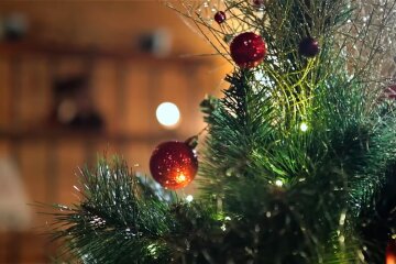 Новогодняя елка. Фото: Youtube