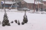 Зима в Украине. Фото: скриншот YouTube-видео