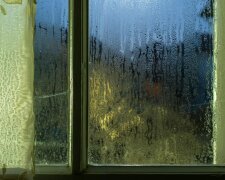 Эксперты рассказали, как избавиться от конденсата на окнах. Фото: из открытых источников