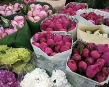 Квітковий ринок. Фото: скріншот Youtube-відео