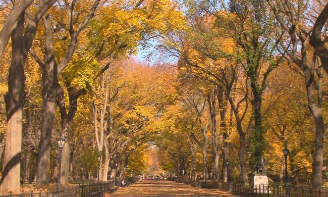 Аномальный ноябрь: синоптик предупредил, как резко изменится погода в Украине