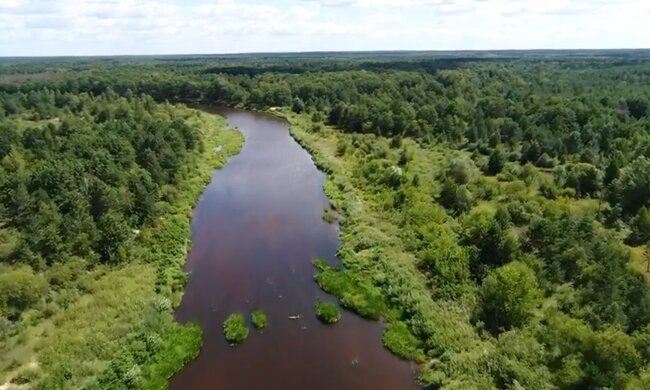 Чорнобильський заповідник із висоти. Фото: скріншот YouTube-відео