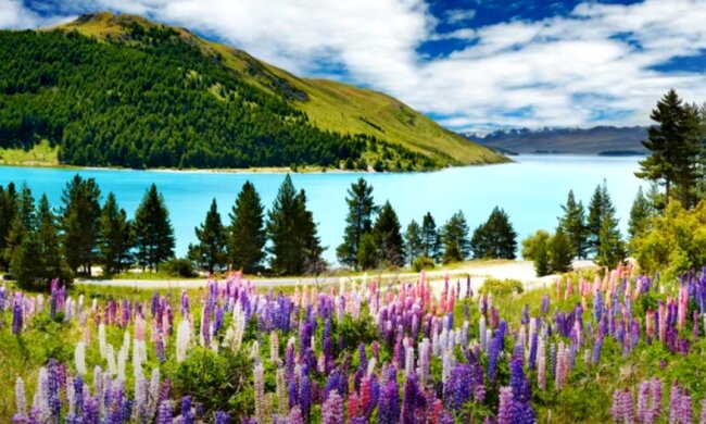 Погода на 8 августа 2020 года