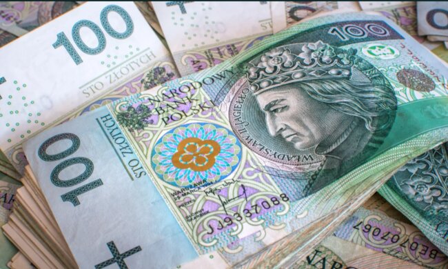 Злотые. Фото: Shutterstock