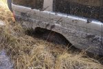 Украина выпустит отечественный внедорожник. Фото из открытых источников