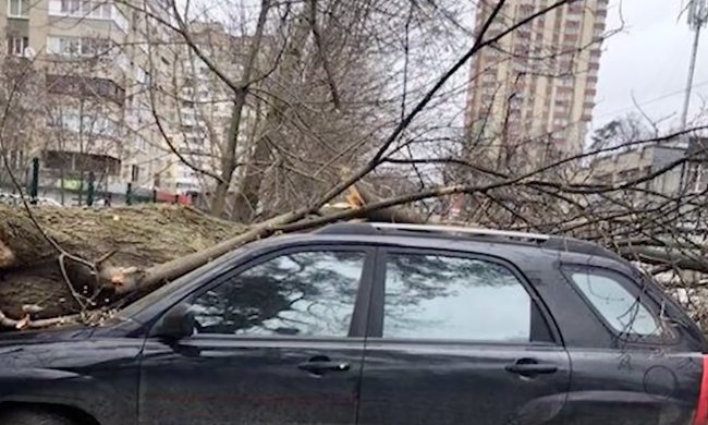 Ураган зимой. Фото: скриншот Youtube