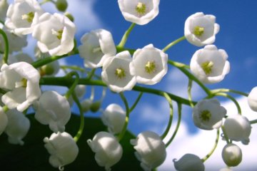 Погода на 9 апреля 2020 года