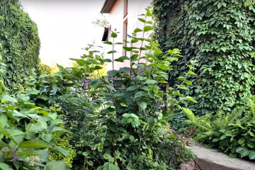 Город. Фото: скріншот YouTube-відео.