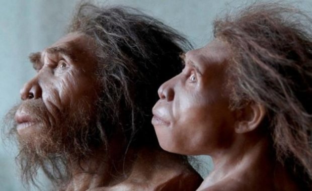 В ДНК человека обнаружен геном неандертальца: появилось заявление