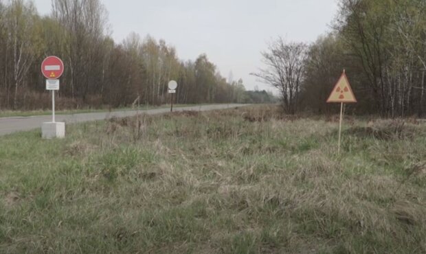 Чернобыльский заповедник. Фото: скриншот YouTube-видео