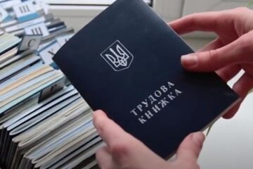 Трудовая книжка. Фото: скриншот YouTube-видео
