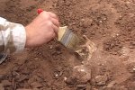 В Черниговской области археологи нашли уникальный артефакт: наши предки использовали для охоты