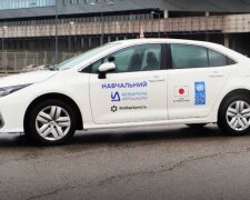 МВД массово закрыло автошколы: смогут ли сдать на права их ученики, у кого проблемы