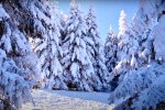 Погода в Украине. Фото: скриншот Youtube-видео