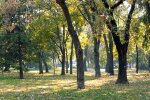 Погода в Украине.  Фото: скриншот YouTube-видео