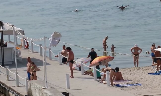 Как правильно оформить отпуск. Фото: скриншот Youtube