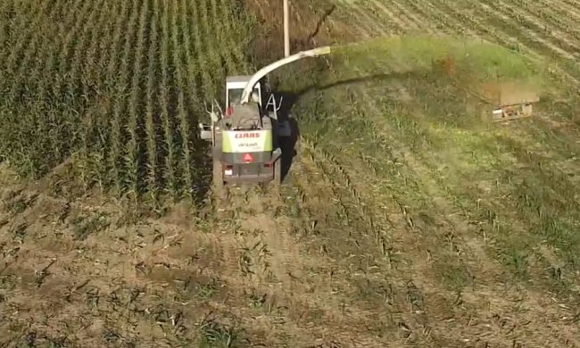 Украинская земля, фото: скриншот с YouTube