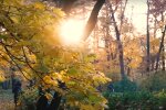 Осень. Фото: скриншот YouTube-видео