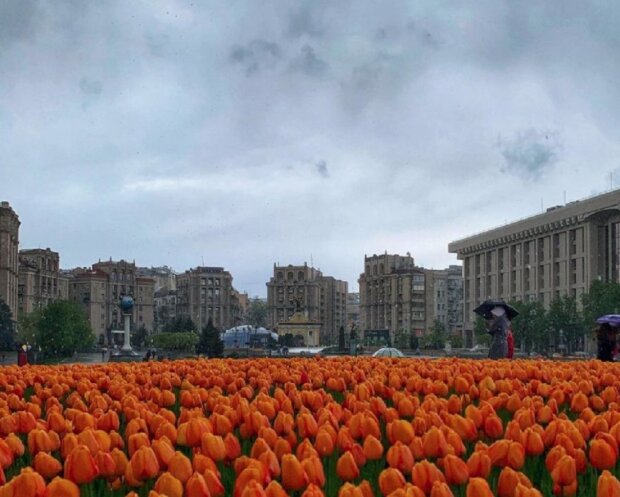 Дождь в Киеве. Фото: скриншот Instgaram